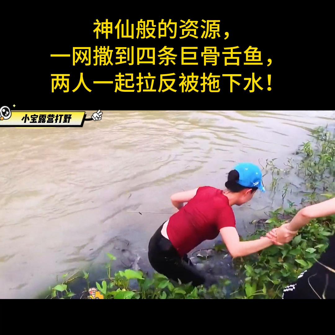 神仙般的资源,一网撒到四条巨骨舌鱼,两人一起拉反被拖下...