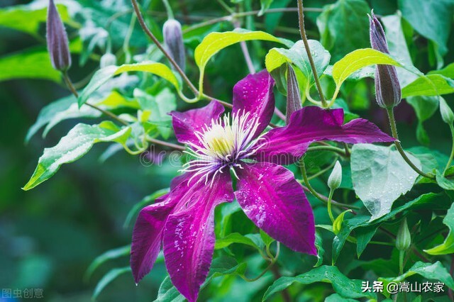 岁月无痕时光静好的散文,原创散文岁月极美