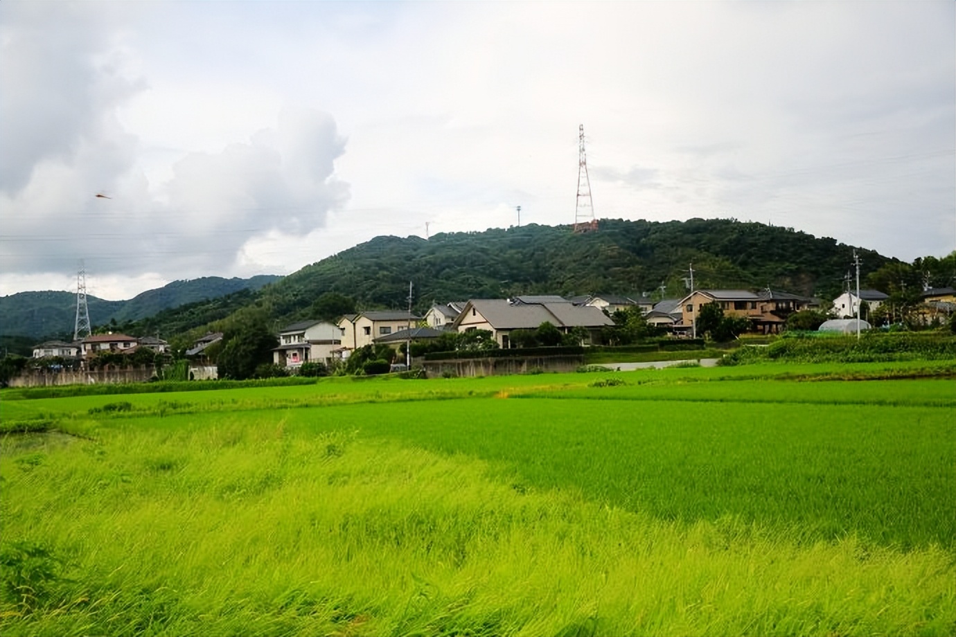 带孙女出去看世界,带着孙女看世界
