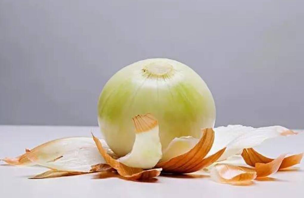 为何亲历者闭口不谈,亲历者谈不明鱼伤人细节