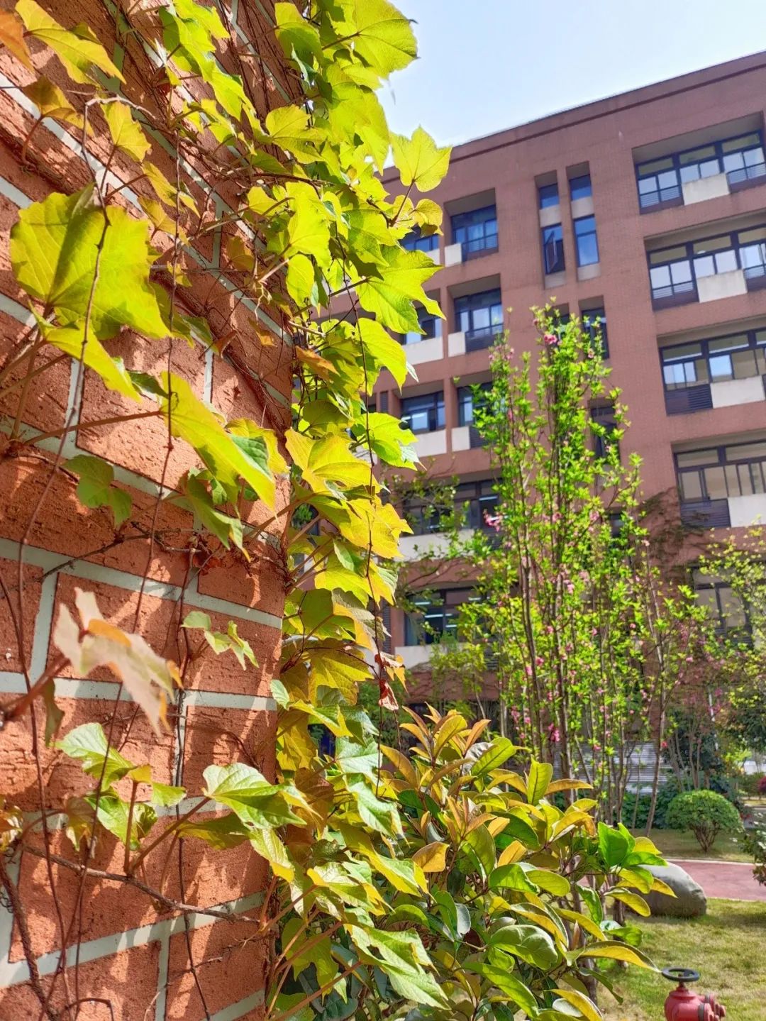 师生共享足球世界五育并举融合发展——两江新区西大附中星辰学校