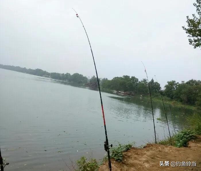 海竿路亚竿矶钓竿有什么区别,海竿路亚竿和矶竿哪个更实用