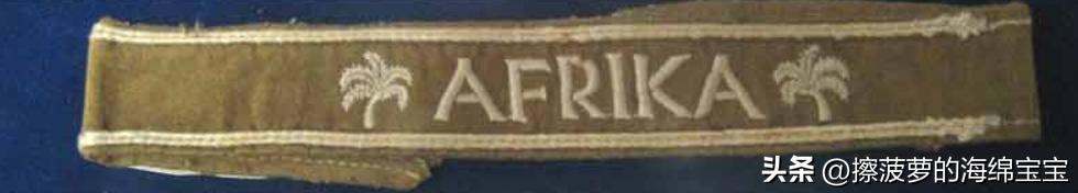 霍尔姆盾章二战德国,二战德国军奖章