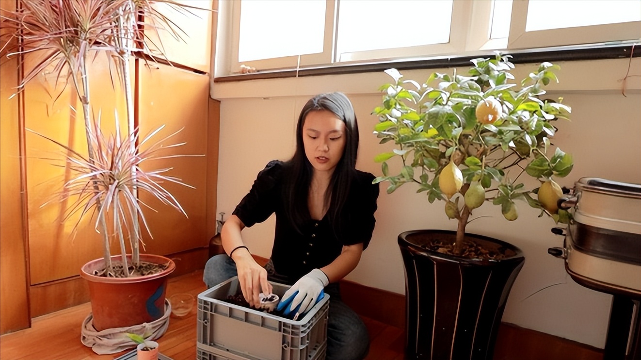 苏一格抖音,苏一格抖音号