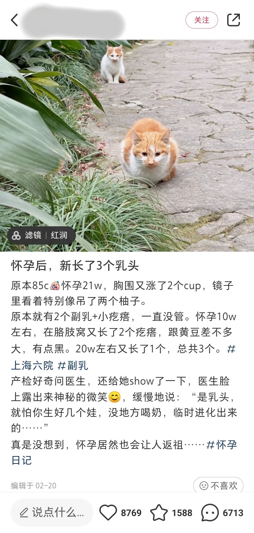 胸部的乳头有小疙瘩,男性乳头长疙瘩发痒