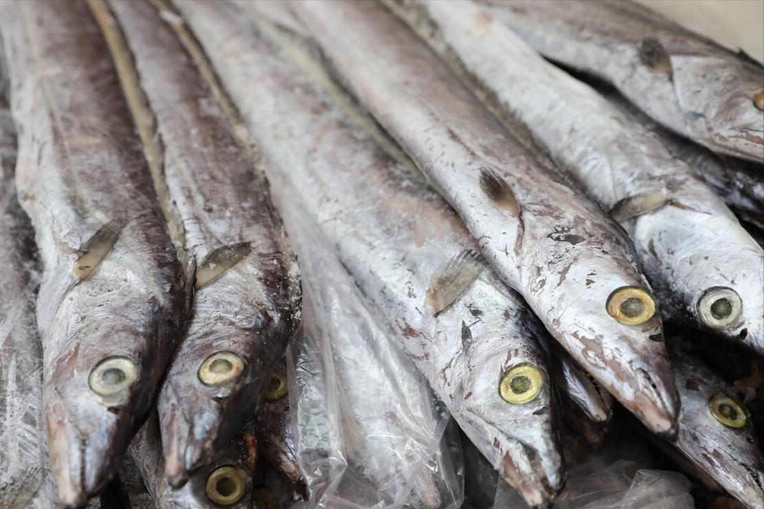 入秋后买海鲜，别忘挑5种“海鱼”，野生海鱼居多，肉质嫩还便宜