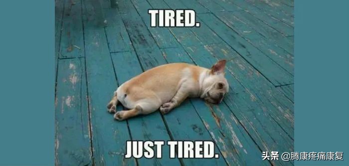 平时不运动如何循序渐进的运动,超实用运动指南给没时间锻炼的你