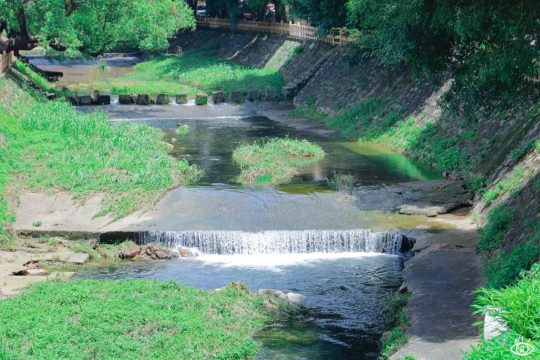 家住深圳必去的公园绿道,深圳环湖绿道好玩么