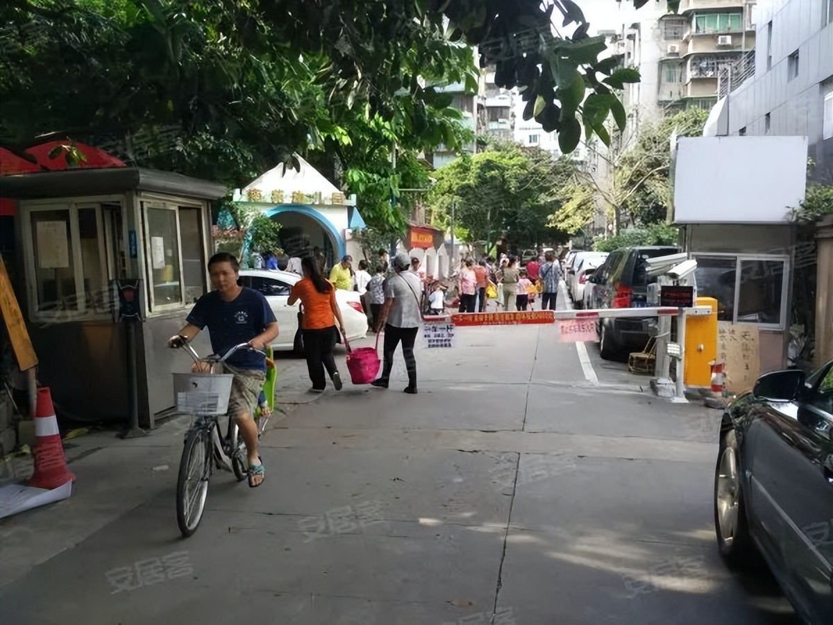 粤剧、醒狮、武术、科技……TA有39个宝藏社团？