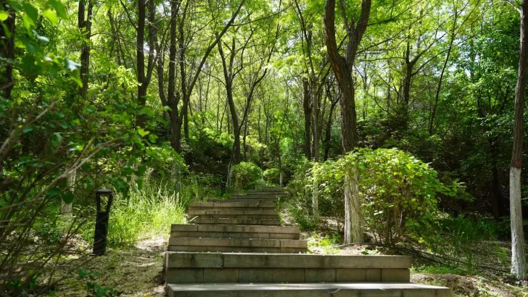 央媒网友热议,央媒密集关注点赞福建