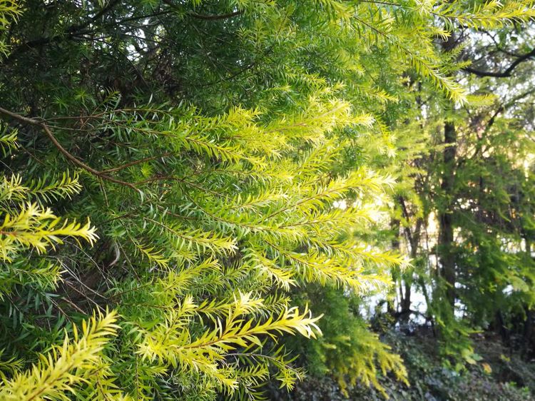 株洲市阳光新城,株洲魅力新城全景