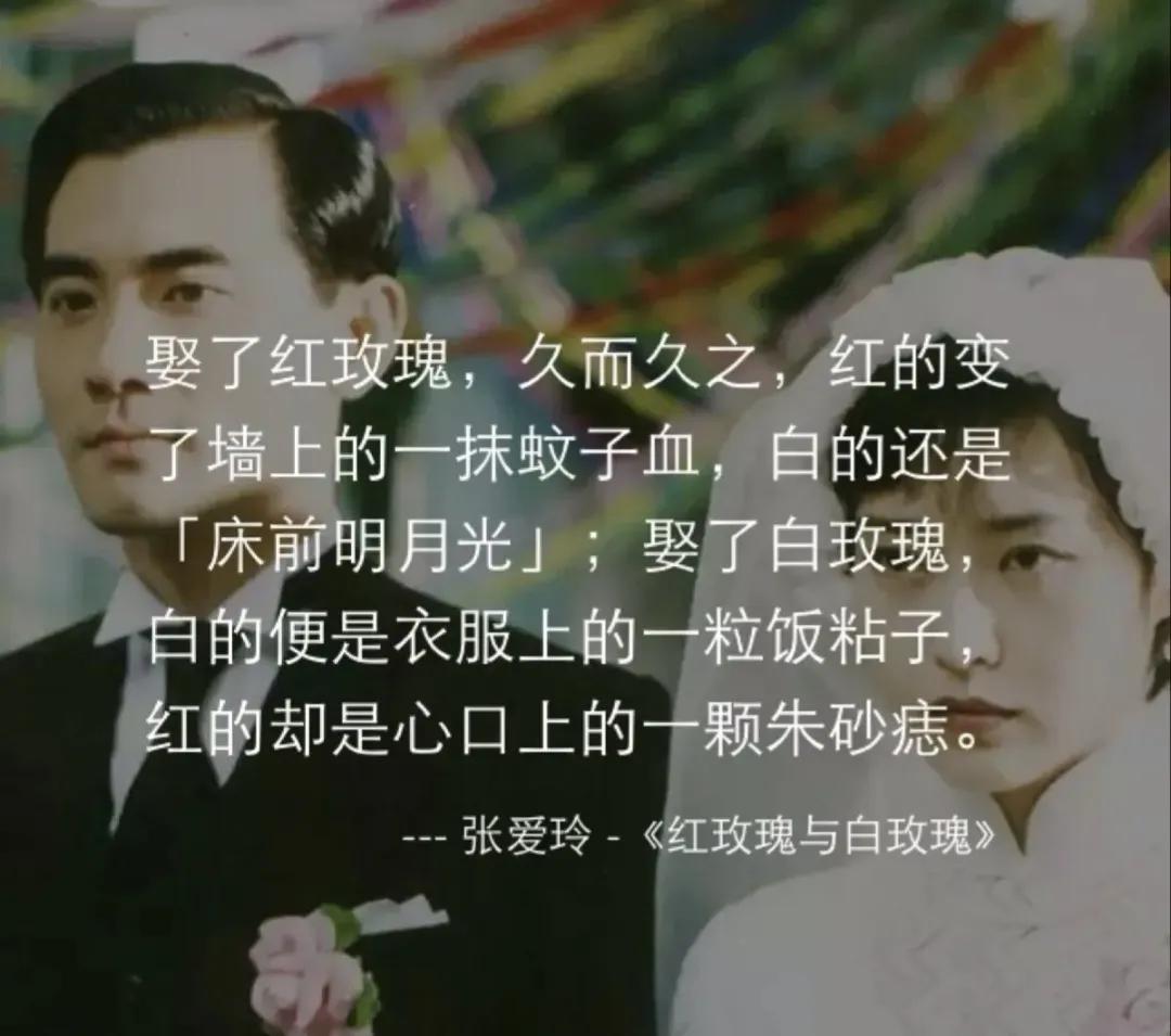 红玫瑰与白玫瑰低到尘埃里的爱情,红玫瑰白玫瑰都是心头的刺