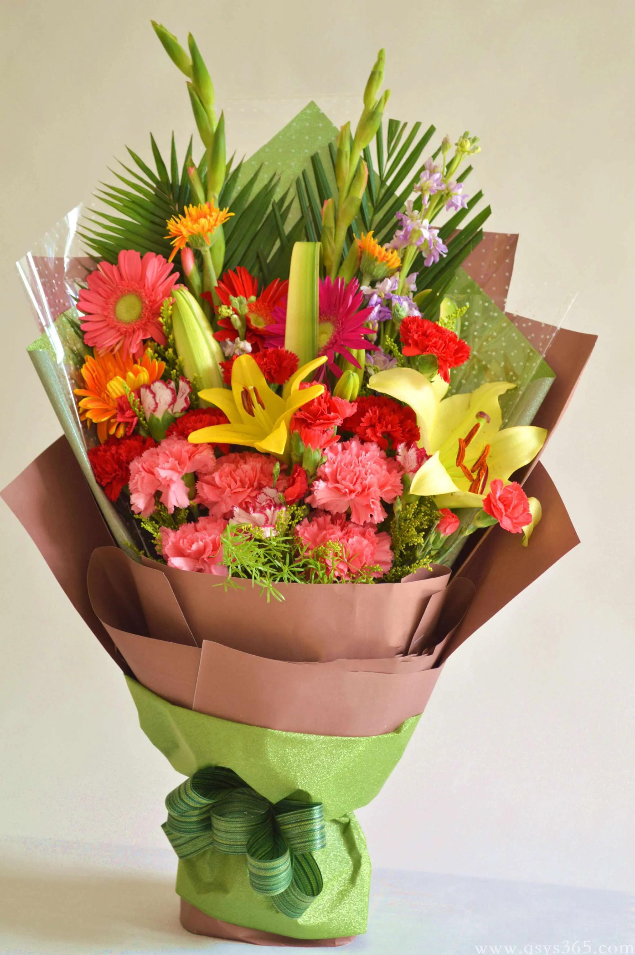 康乃馨花束壁纸,康乃馨壁纸手机超清全面屏