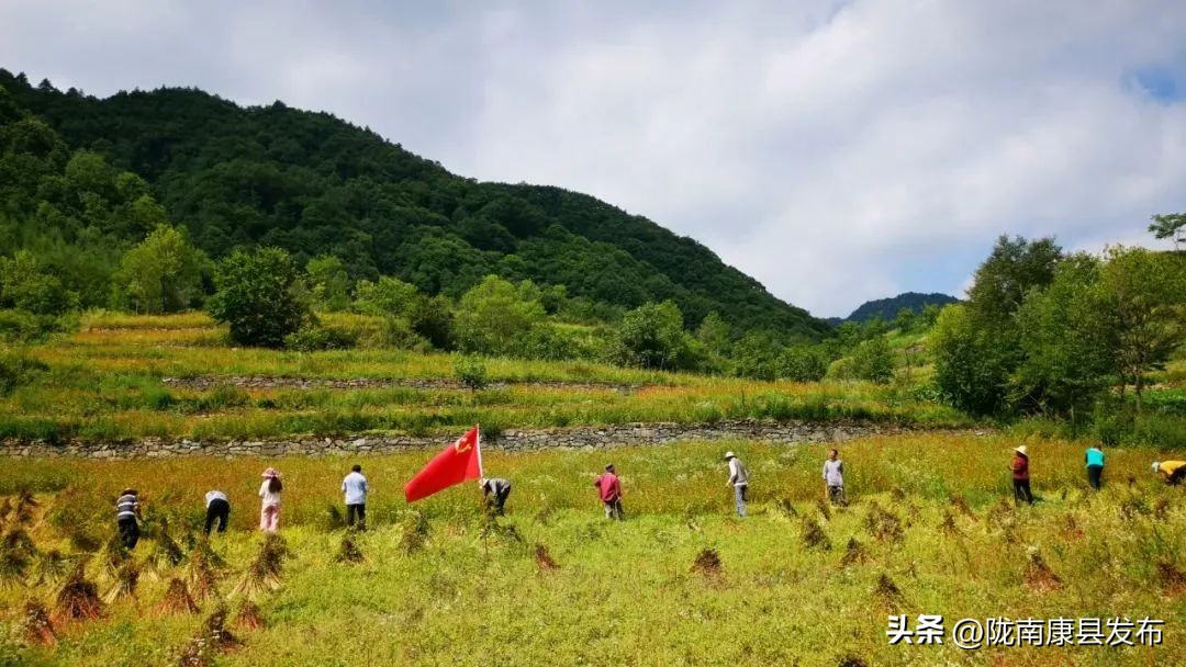 我们这十年奋进新时代,我们这十年通渭