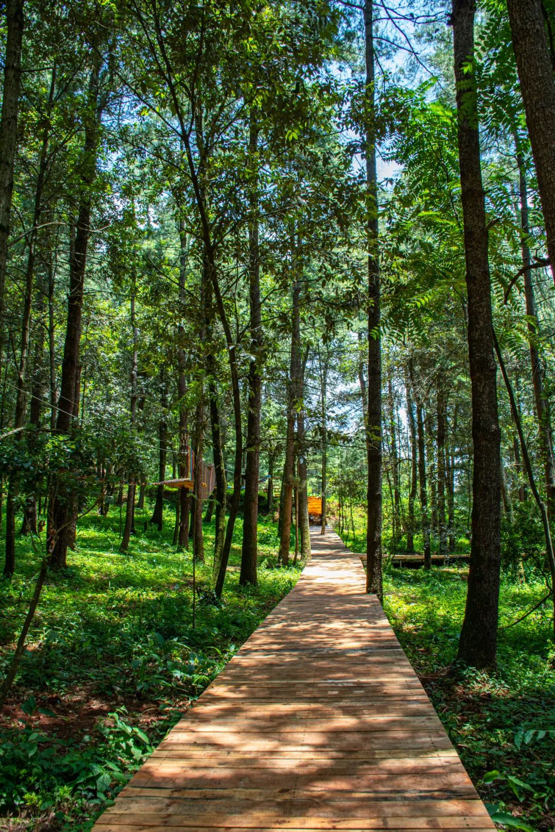 昆明旅游攻略一日游景点推荐理由,昆明旅游景点推荐一日游攻略图