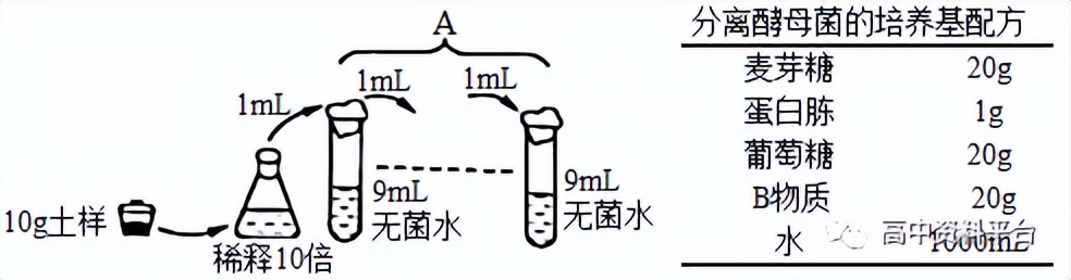 2024河南强基联盟3月联考高二,2024九省联考河南生物试卷及答案