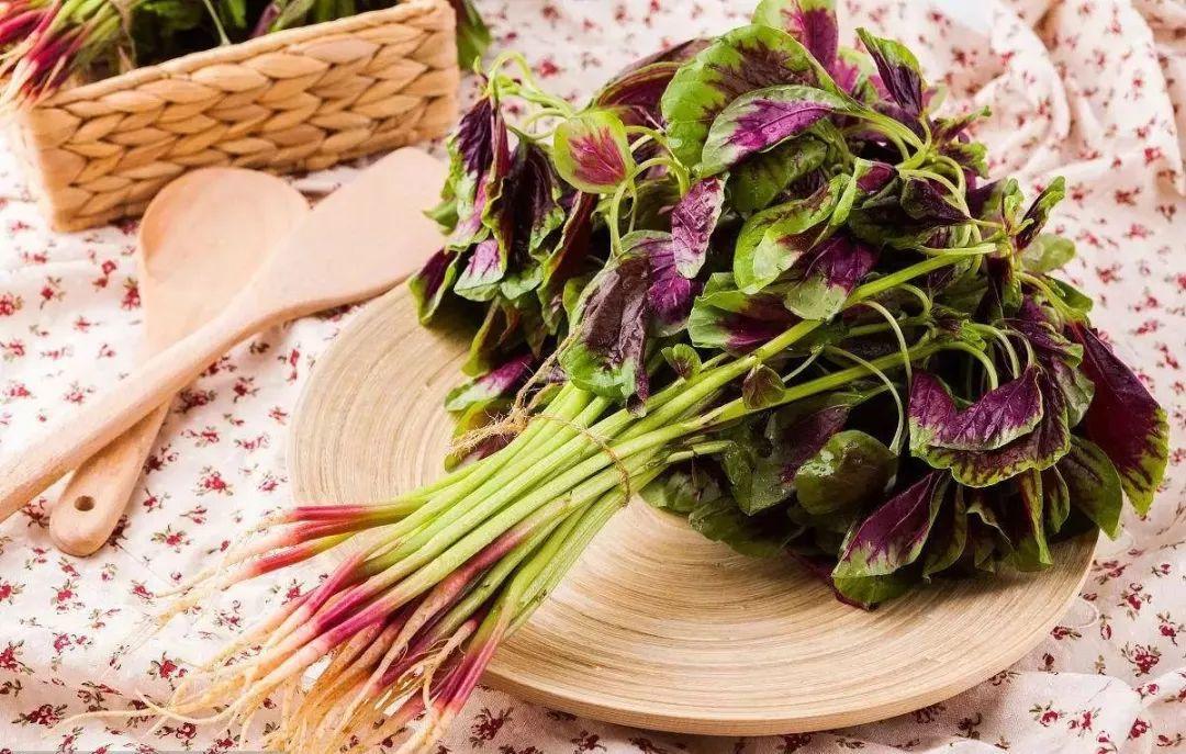 这三种长寿菜建议常吃,各种食物中的长寿菜