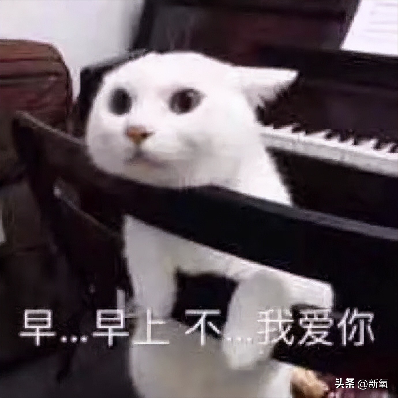 如何好好说话掌握说话技巧,日常各种经典场合的说话技巧