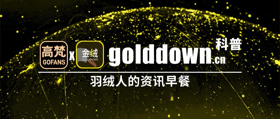 始祖鸟近两年比较火,始祖鸟为什么会突然火了