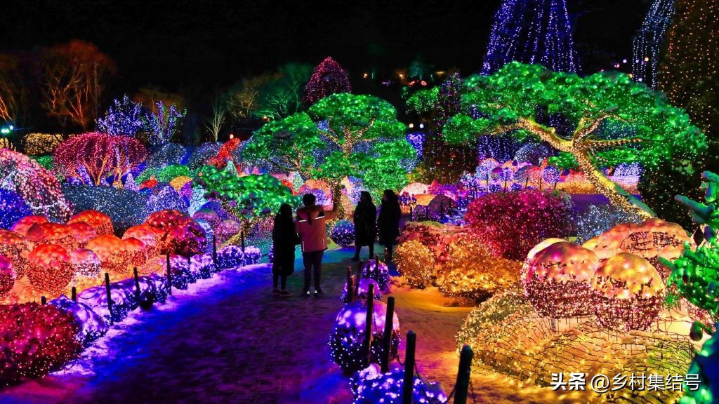 韩国晨静花园,韩国晨静树木园设计方案