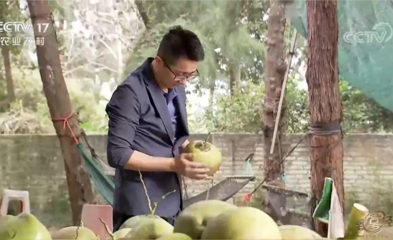 湖南男子承包800亩林地，如今靠椰子火锅鸡，年销售额2200万