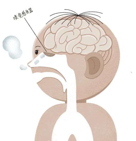 儿童反复流鼻涕鼻出血鼻塞打喷嚏,流鼻血流鼻涕打喷嚏怎么回事