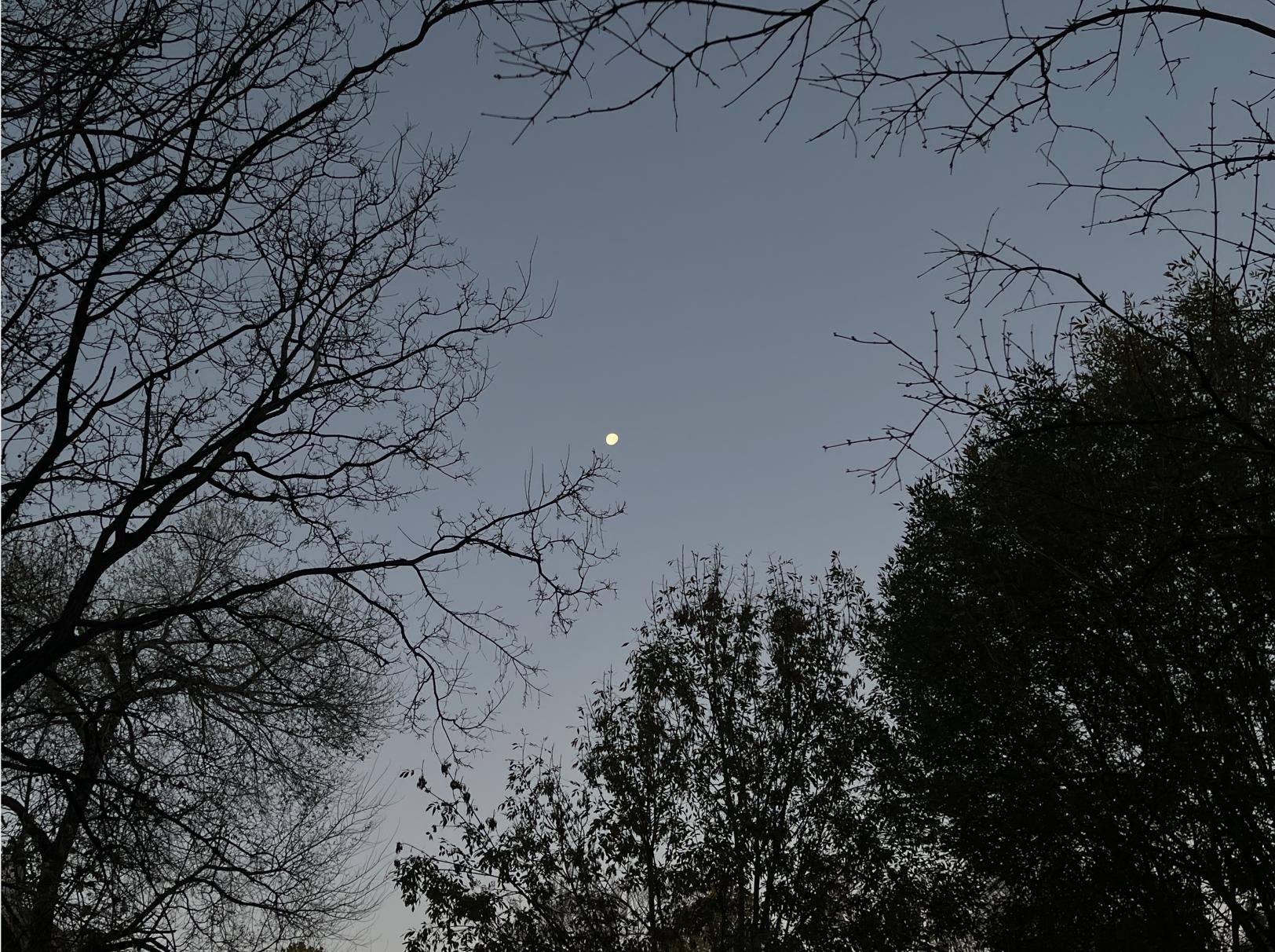 人为什么喜欢怀念从前,人为啥总喜欢怀念过去