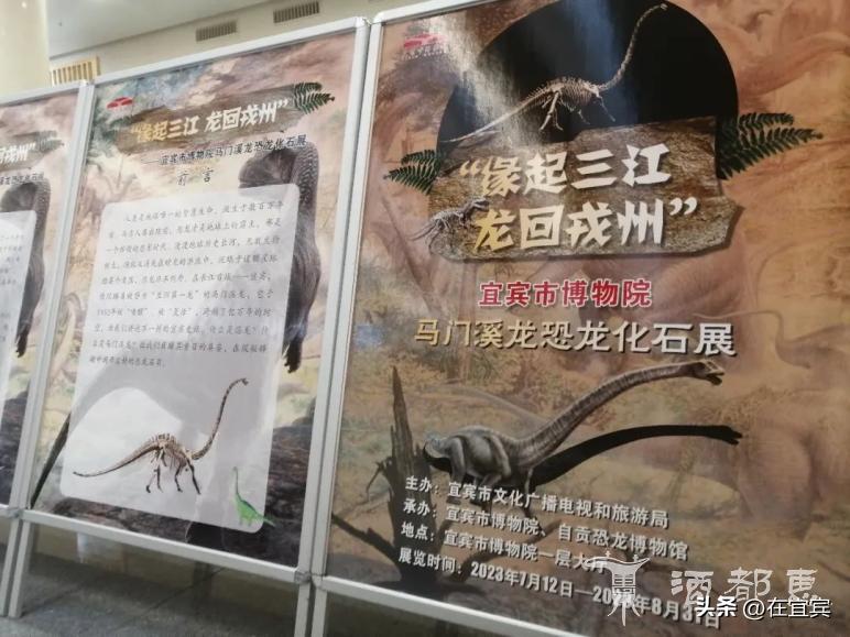 恐龙故乡黑龙江,四川的恐龙之乡