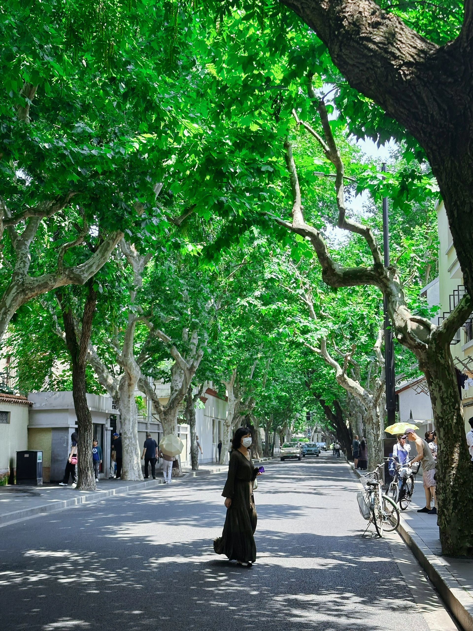 上海一日游必去景点朱家角古镇,上海一日游必去景点攻略路线图