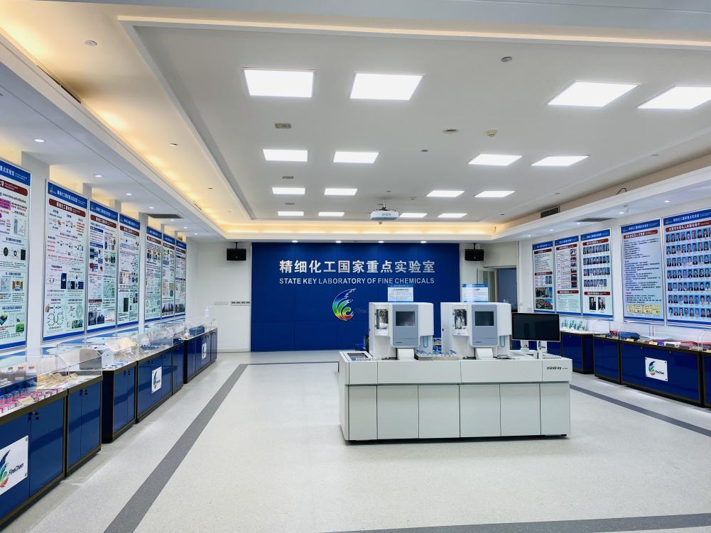 聚焦“抗癌药物”，大连理工“牵手”荷兰名校，最新成果引发国际关注！