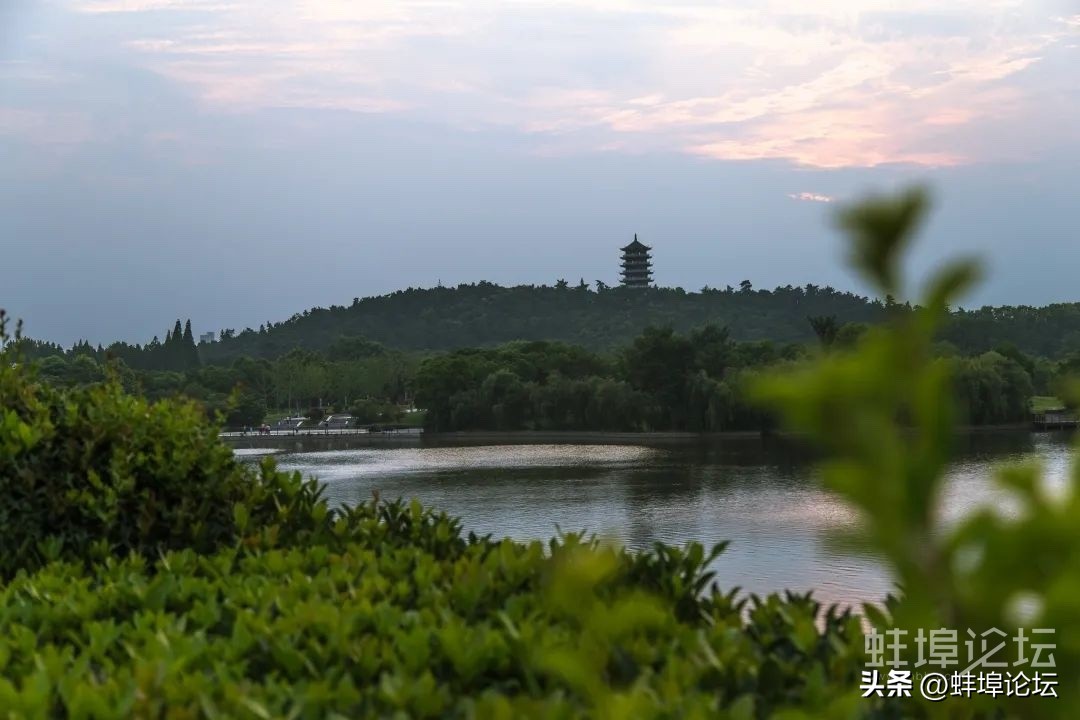 重阳节登高赏秋祈福视频,重阳节赏秋登高感恩敬老