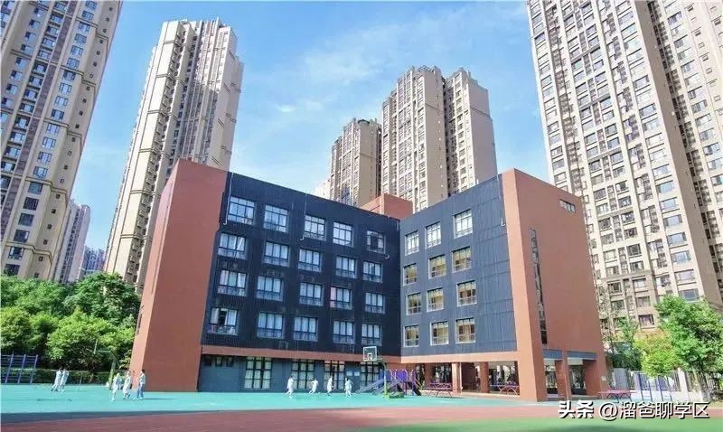 石室教育集团,成都石室中学教育集团学校