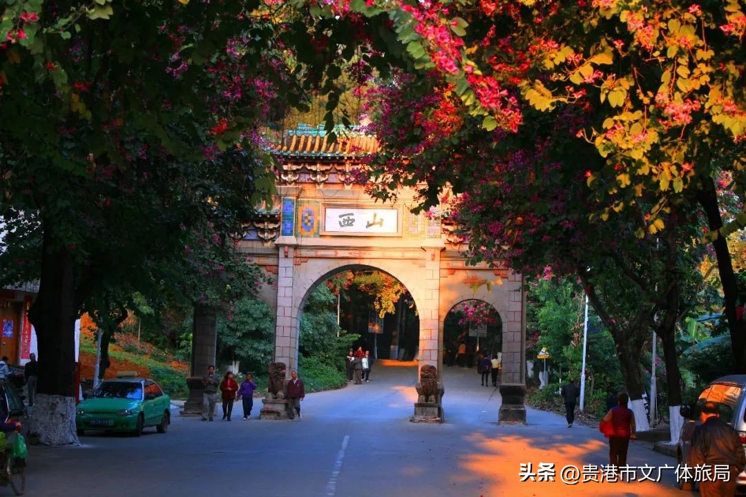 广西研学旅行推荐,2022广西研学旅行方案