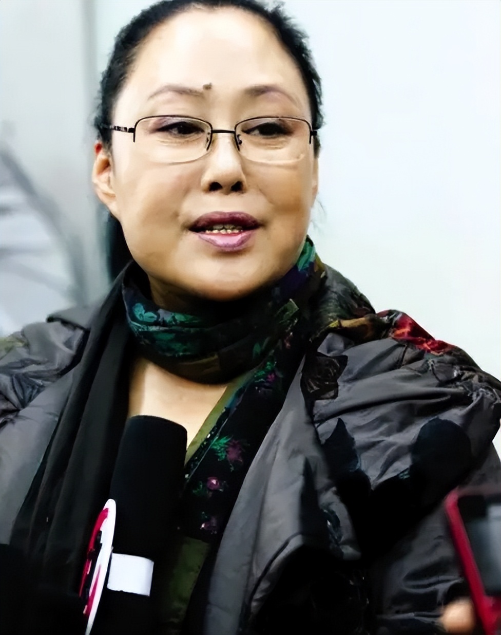 袁立偷狗搞笑视频,袁立讲偷狗的视频