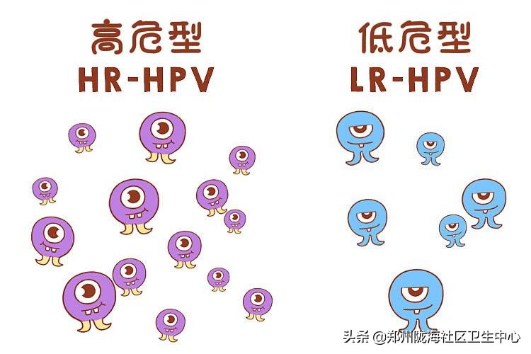 尖锐性湿疣用啥药才能清除hpv病毒,口腔感染hpv用什么药能清除