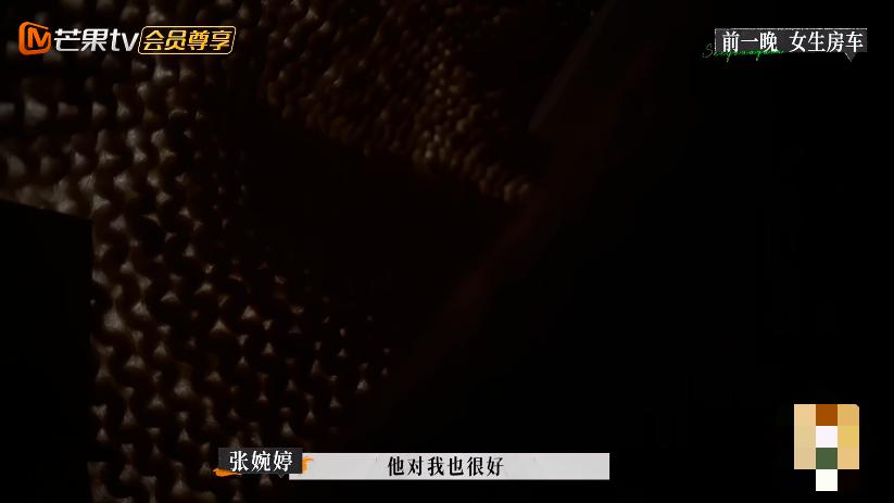 张婉婷宋宁峰最终结果,宋宁峰张婉婷细节分析