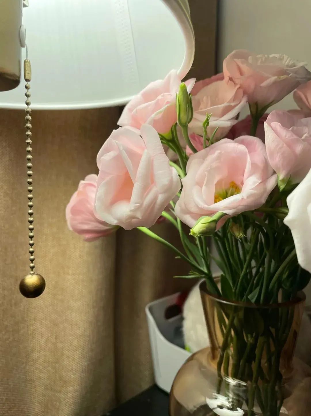 鲜花在水里能养几天会死,新加坡盆栽花卉怎么养