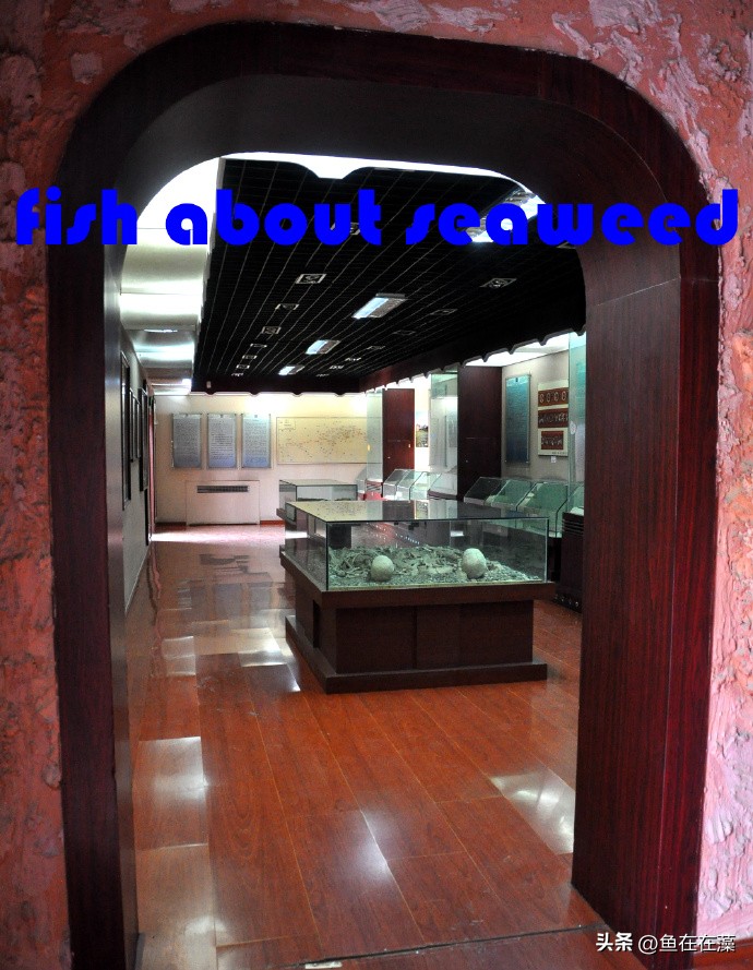 55西进西域·新：库车王府，龟兹文明的橱窗；清代边疆政策范本