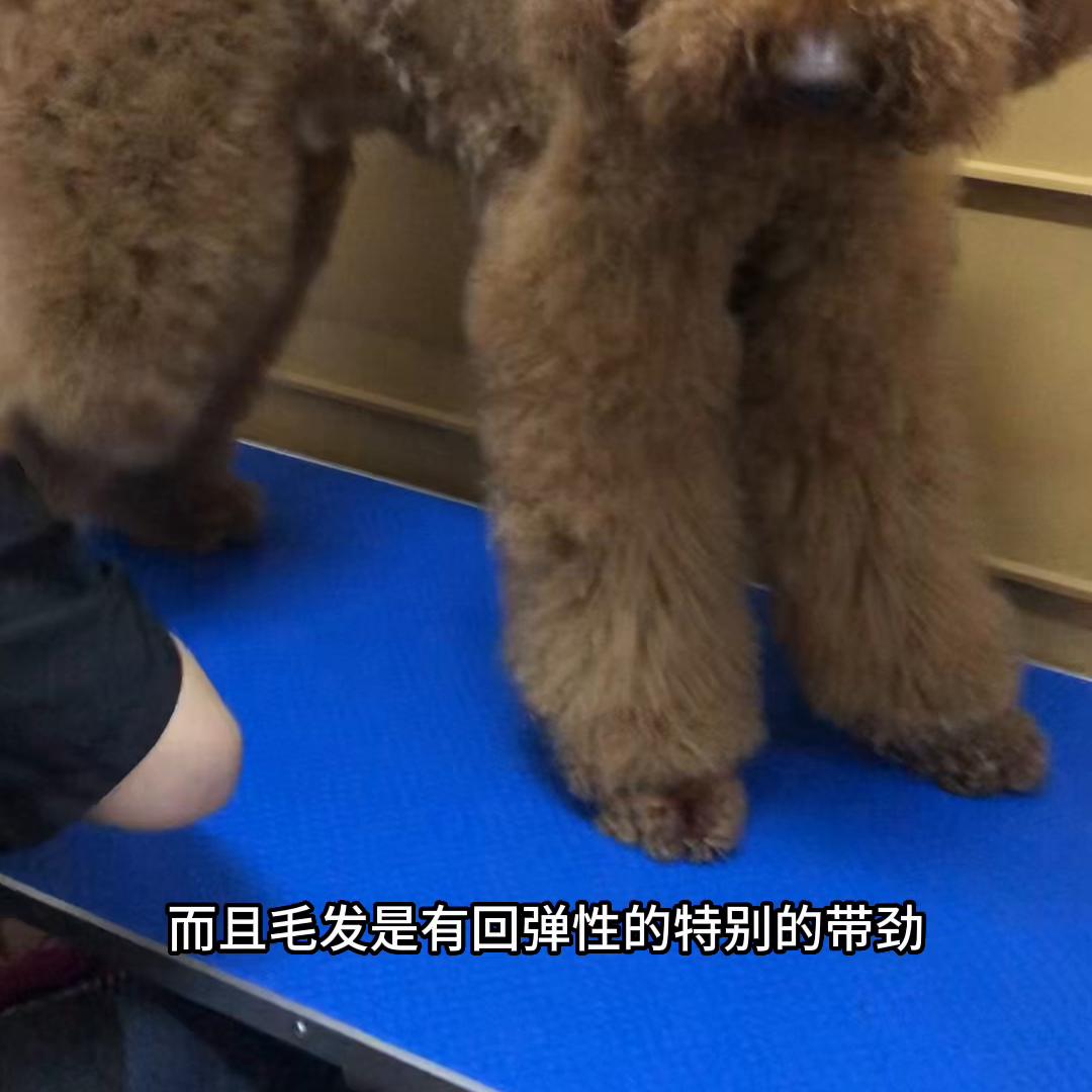 平均一天拿捏一只巨贵，今天又安排了^#同城好店推荐