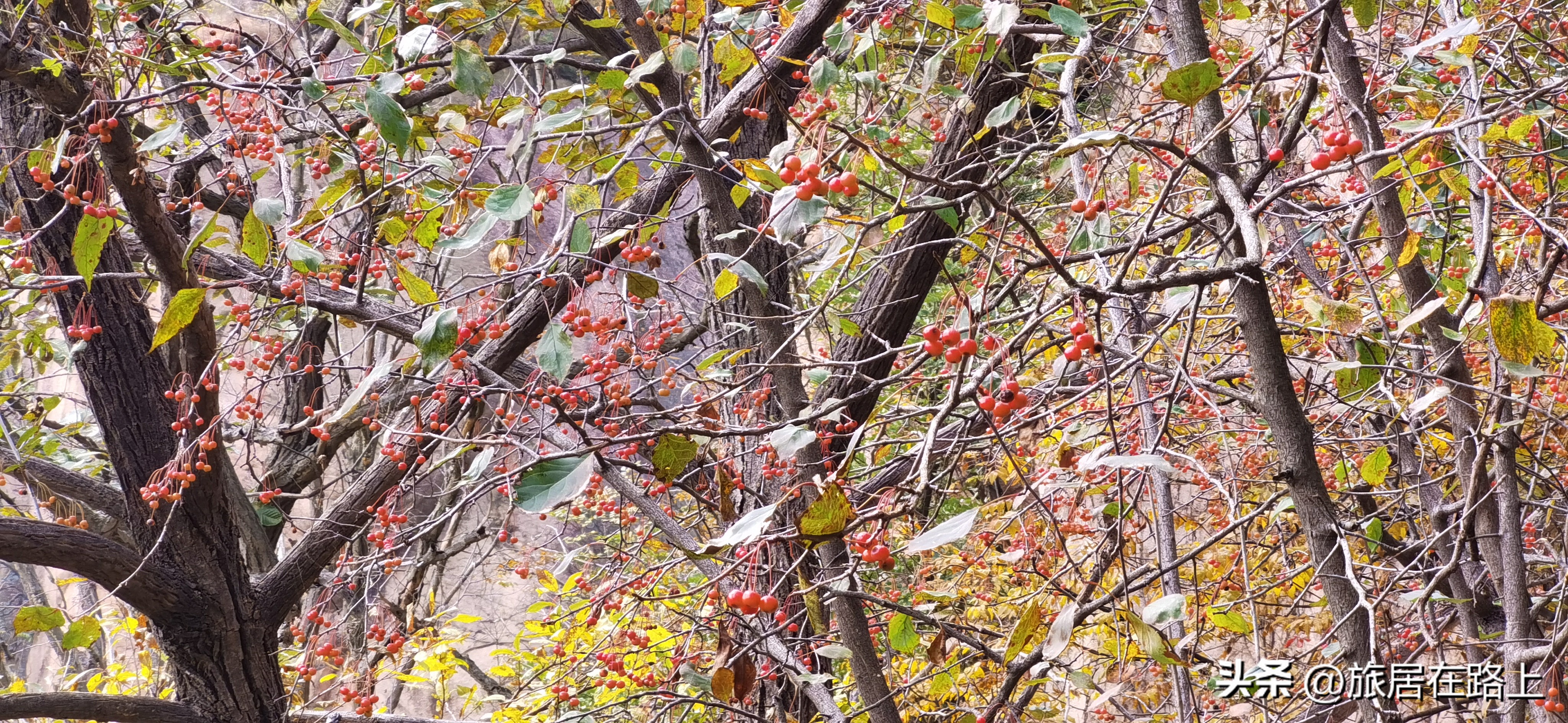 日照五莲九仙山,幽谷奇山异常壮美,山顶延绵数里一天都玩不完