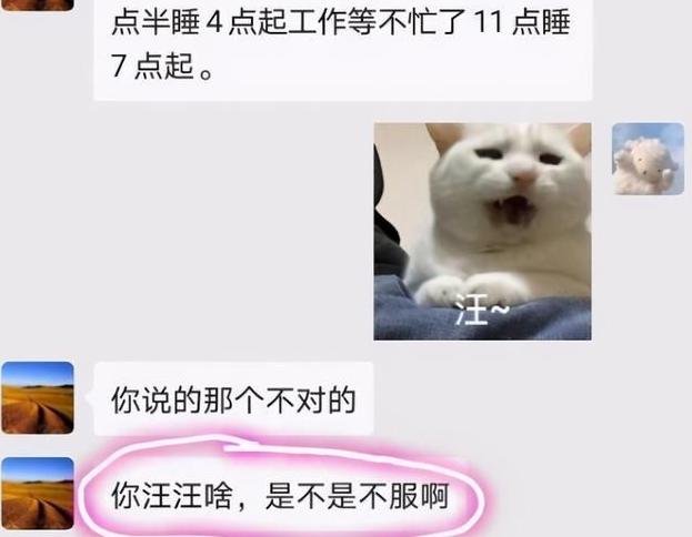 上大学后和父母出现代沟,大学生和父母代沟原因