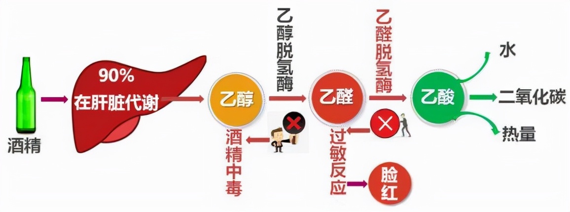 湖南女孩千杯不醉视频,湖南女子千杯不醉完整视频