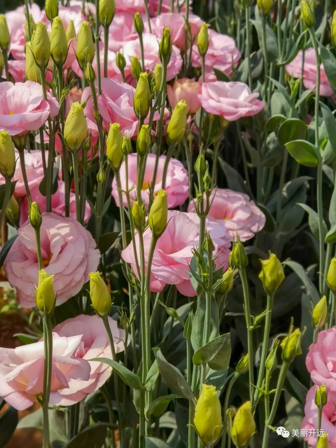 3年6000亿美元,3年赚60万什么水平