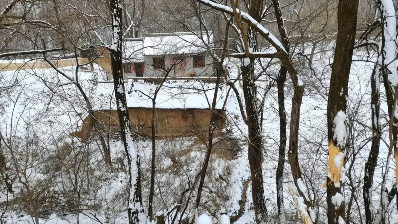 癸卯兔年几年发生一次,癸卯兔年为闰年全年共有多少天