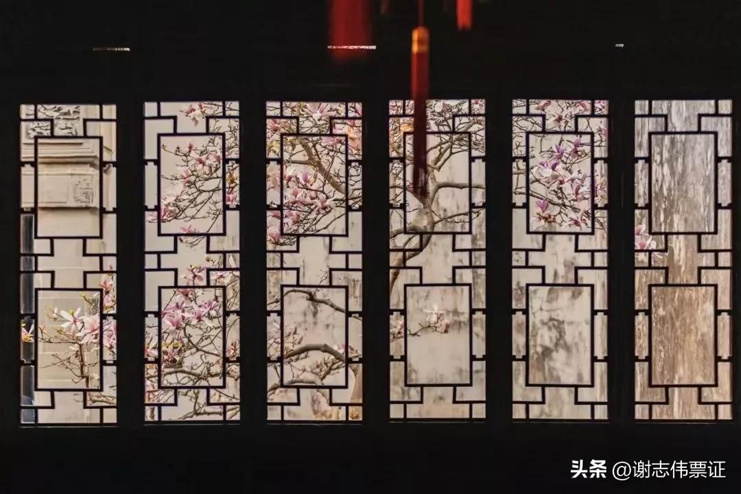 苏州古典园林各个景观特色,苏州园林风景美感极致