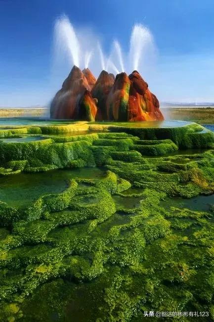 难得一见绝美一清二楚郁金香壁纸,难得一见雪景壁纸