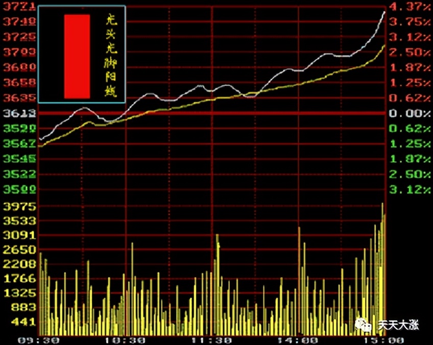 小白炒股入门k线怎么看,小白学k线视频