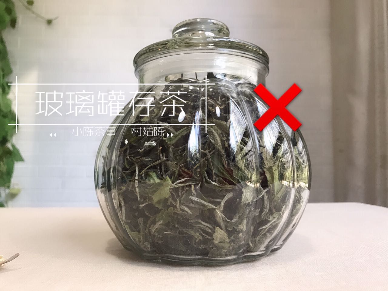 茶知识白茶的保存有什么诀窍,日常存白茶有哪些存茶细节要注意