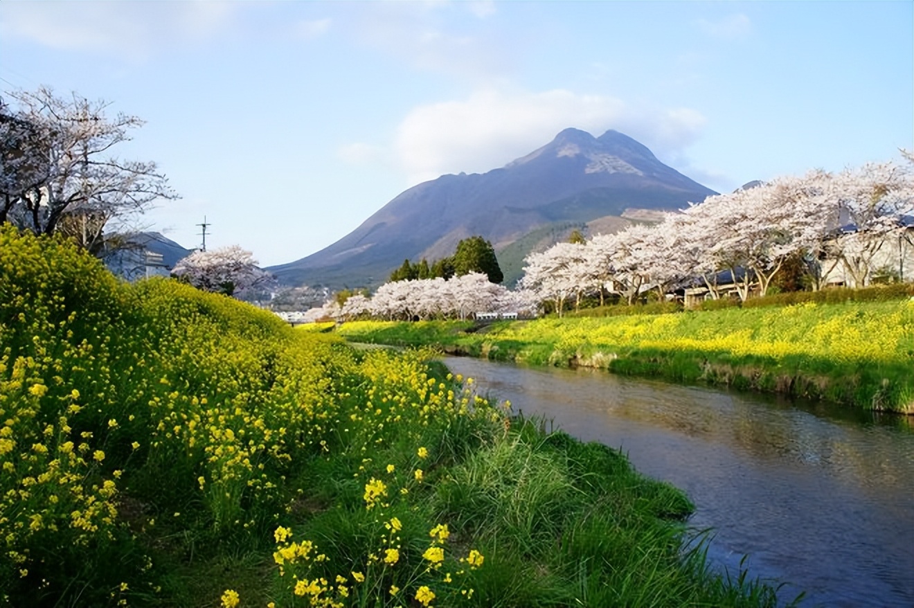 2023日本樱花观赏时间表,日本樱花花期2020