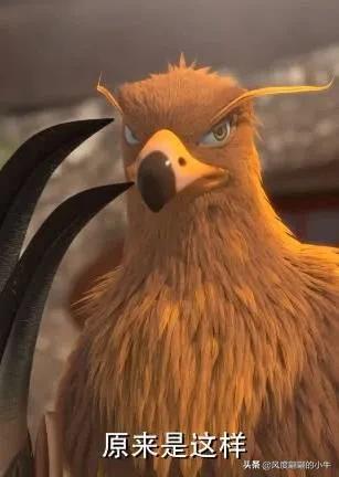 熊出没最厉害的角色,熊出没历代角色大全